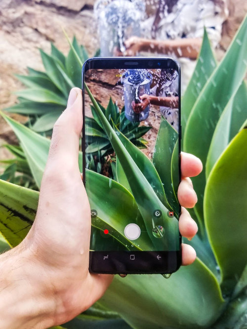 samsung galaxy s8 kamera zdjęcie roślin